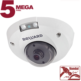 Beward B5320DMR Видеокамера IP