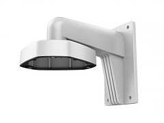 HikVision DS-1273ZJ-DM25 Кронштейн 