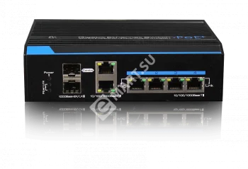 RVi-2NSI04G-2C коммутатор